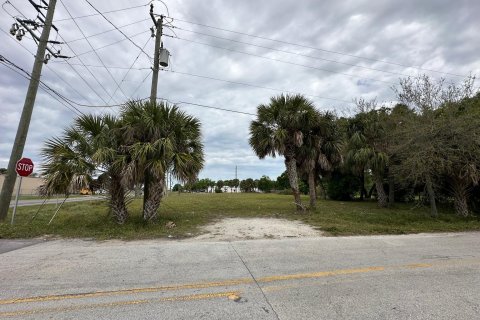 Land in Okeechobee, Florida № 1049930 - photo 16