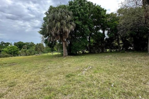 Land in Okeechobee, Florida № 1049930 - photo 15