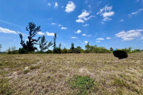 Купить земельный участок в Кейп-Корал, Флорида № 1088925 - фото 3
