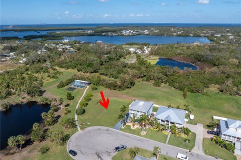 Terreno en venta en Terra Ceia, Florida № 1433872 - foto 9