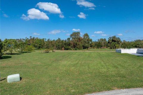 Terreno en venta en Terra Ceia, Florida № 1433872 - foto 3