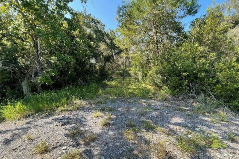 Terrain à vendre à Kissimmee, Floride № 1371854 - photo 7