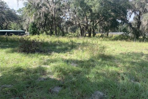 Terreno en venta en Crescent City, Florida № 1433870 - foto 16