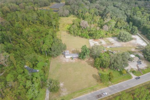 Terreno en venta en Crescent City, Florida № 1433870 - foto 30