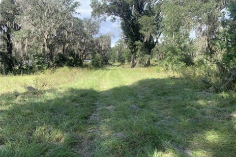 Terreno en venta en Crescent City, Florida № 1433870 - foto 18