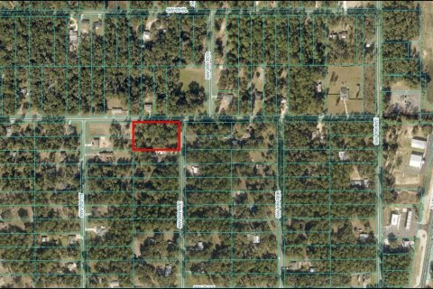 Terreno en venta en Dunnellon, Florida № 1397127 - foto 2