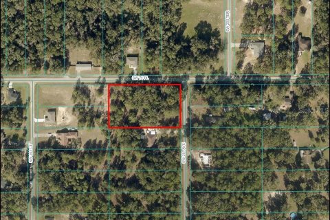 Terreno en venta en Dunnellon, Florida № 1397127 - foto 1