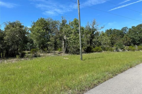 Terrain à vendre à Ocala, Floride № 1280384 - photo 4