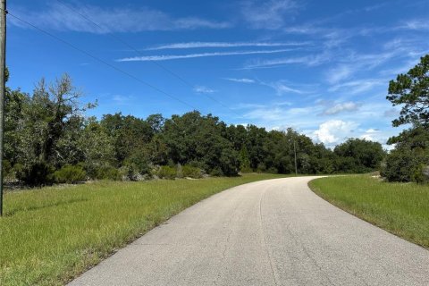 Terrain à vendre à Ocala, Floride № 1280384 - photo 5