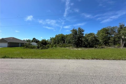 Terreno en venta en Ocala, Florida № 1280384 - foto 1