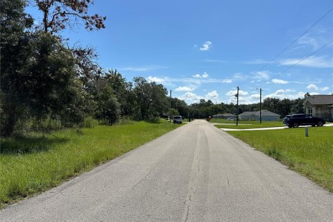 Terrain à vendre à Ocala, Floride № 1280384 - photo 2