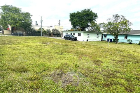 Купить земельный участок в Халландейл-Бич, Флорида № 1075696 - фото 6