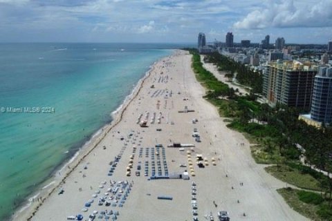 Condominio en alquiler en Miami Beach, Florida, 2 dormitorios, 83.8 m2 № 1375589 - foto 29