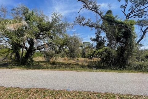 Land in Port Charlotte, Florida № 1056013 - photo 7