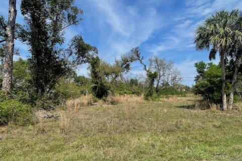 Terreno en venta en Port Charlotte, Florida № 1056013 - foto 6