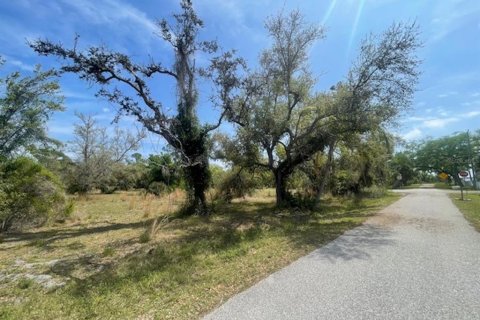 Terreno en venta en Port Charlotte, Florida № 1056013 - foto 4