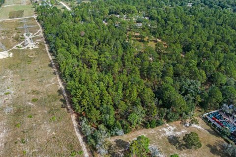 Terreno en venta en Brooksville, Florida № 1431900 - foto 10