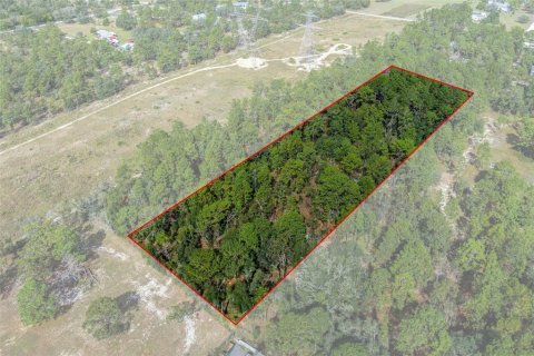 Terreno en venta en Brooksville, Florida № 1431900 - foto 3