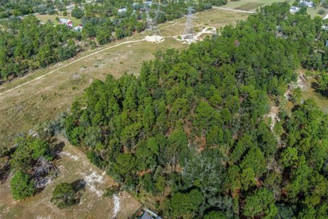 Terreno en venta en Brooksville, Florida № 1431900 - foto 8