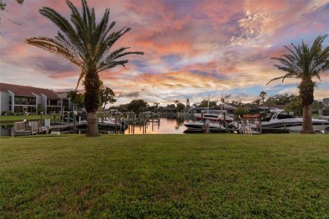 Villa ou maison à vendre à Tampa, Floride: 4 chambres, 372.63 m2 № 1341788 - photo 3