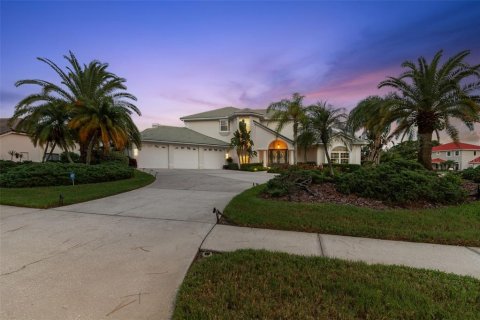 Villa ou maison à vendre à Tampa, Floride: 4 chambres, 372.63 m2 № 1341788 - photo 4