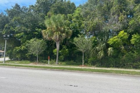 Terrain à vendre à DeBary, Floride № 1374491 - photo 6