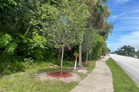 Land in DeBary, Florida № 1374491 - photo 3