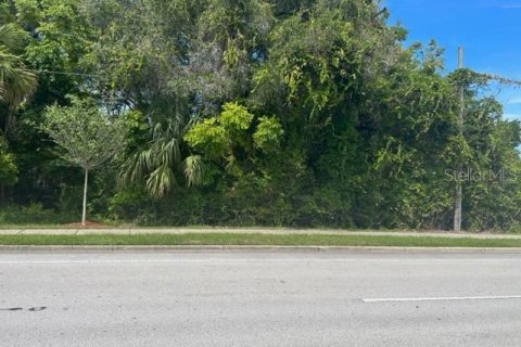 Terreno en venta en DeBary, Florida № 1374491 - foto 7