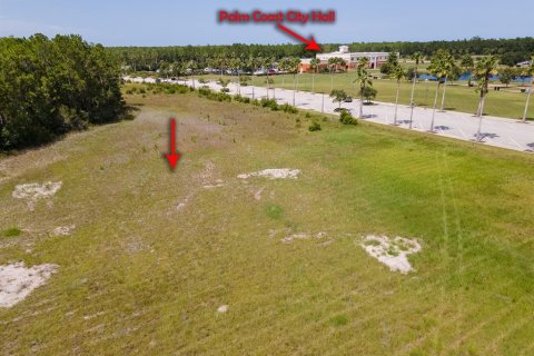 Land in Palm Coast, Florida № 1334271 - photo 10