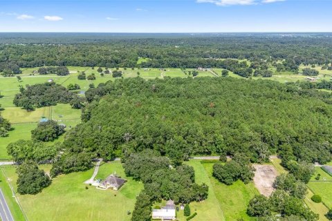 Terreno en venta en Ocala, Florida № 1301149 - foto 11