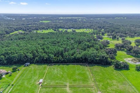 Terreno en venta en Ocala, Florida № 1301149 - foto 7