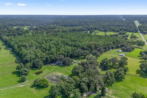 Terreno en venta en Ocala, Florida № 1301149 - foto 5