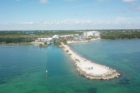 Copropriété à vendre à Key Largo, Floride: 2 chambres № 1331562 - photo 1