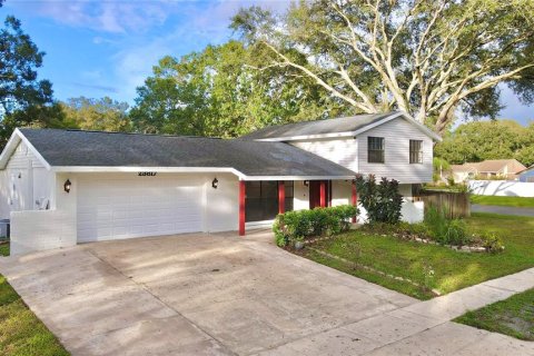 Casa en venta en Lutz, Florida, 5 dormitorios, 209.96 m2 № 1070882 - foto 1