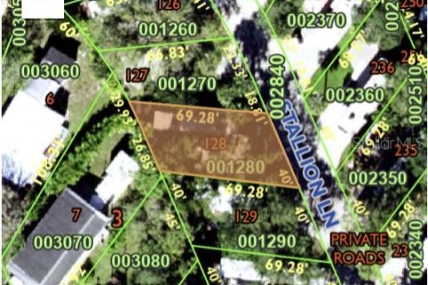 Terreno en venta en Lake Wales, Florida № 1429502 - foto 2