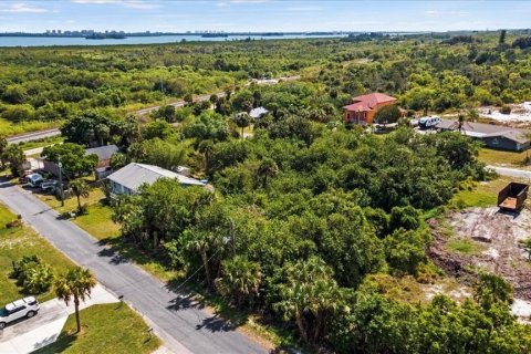 Купить земельный участок в Сент-Луси, Флорида № 1062437 - фото 3