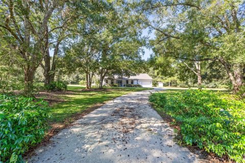 House in Wesley Chapel, Florida 5 bedrooms, 236.53 sq.m. № 1392245 - photo 1