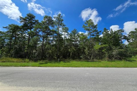 Terrain à vendre à Homosassa, Floride № 1375135 - photo 4