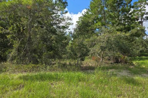 Terrain à vendre à Homosassa, Floride № 1375135 - photo 1