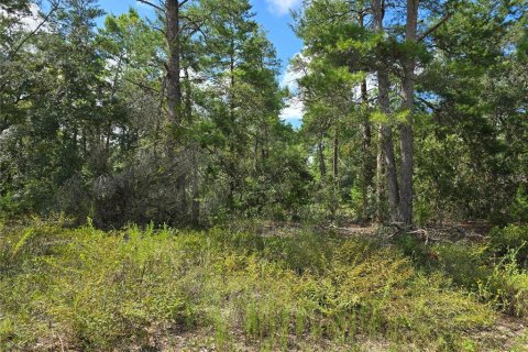 Terrain à vendre à Homosassa, Floride № 1375135 - photo 6