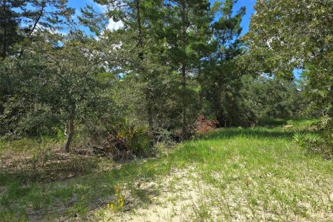 Land in Homosassa, Florida № 1375135 - photo 2