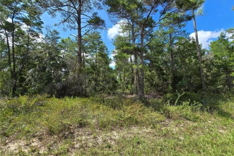 Terreno en venta en Homosassa, Florida № 1375135 - foto 5