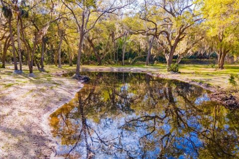 Land in Edgewater, Florida № 1068745 - photo 5