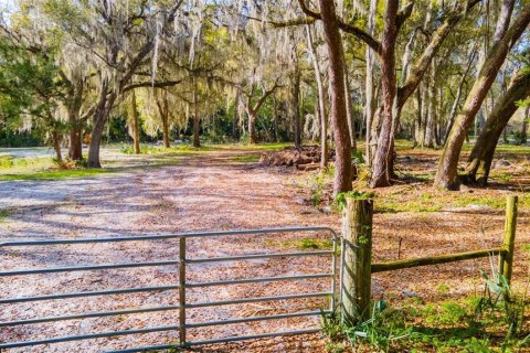 Land in Edgewater, Florida № 1068745 - photo 1