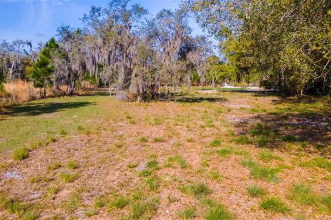 Terrain à vendre à Edgewater, Floride № 1068745 - photo 4