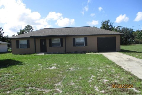 Villa ou maison à vendre à Leesburg, Floride: 3 chambres, 101.45 m2 № 1343534 - photo 1