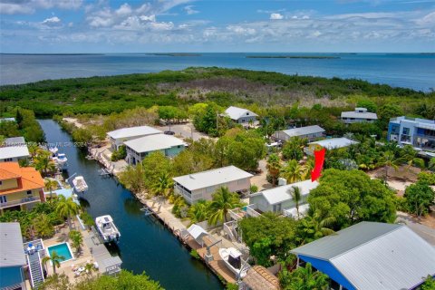 Villa ou maison à vendre à Big Pine Key, Floride: 3 chambres, 146.04 m2 № 1386030 - photo 8