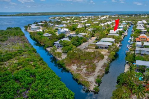 House in Big Pine Key, Florida 3 bedrooms, 146.04 sq.m. № 1386030 - photo 3