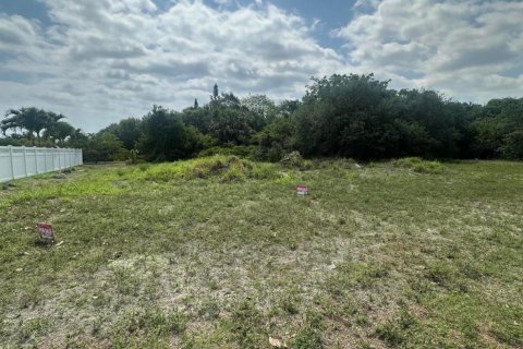 Terrain à vendre à Jensen Beach, Floride № 1222628 - photo 4