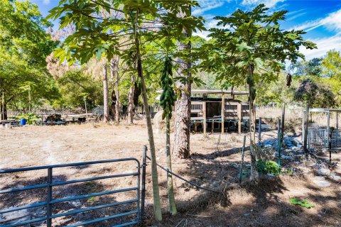 Land in Clewiston, Florida № 1370663 - photo 6